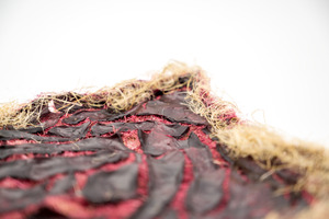 Bild: Starch-Based Bioplastic